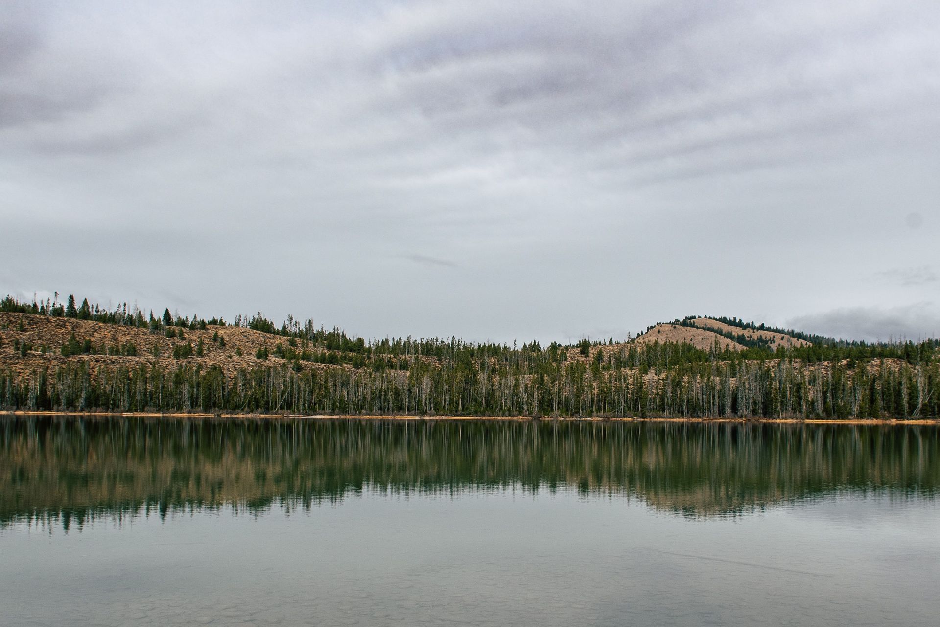 Calm lake reflecting a forested shoreline and cloudy sky over a low hill