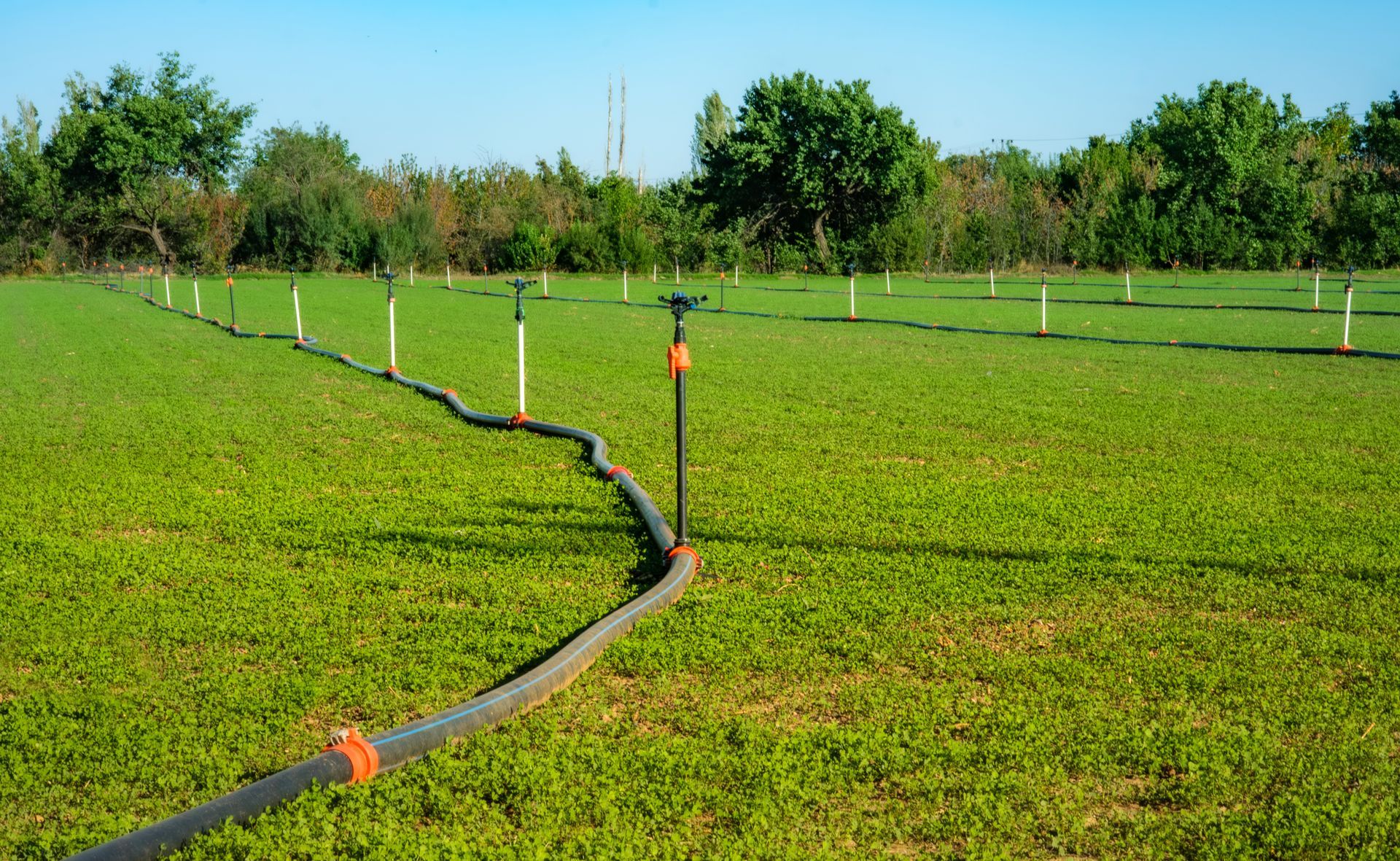 A field featuring irrigation pipes running through it A field featuring irrigation pipes running through it