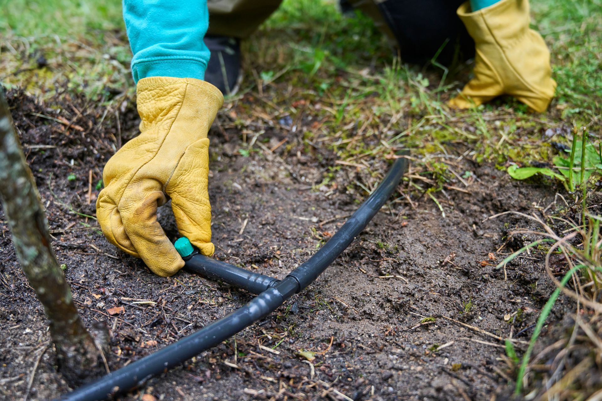 A gardener’s hands wearing leather gloves inspect an adjustable drip emitter.