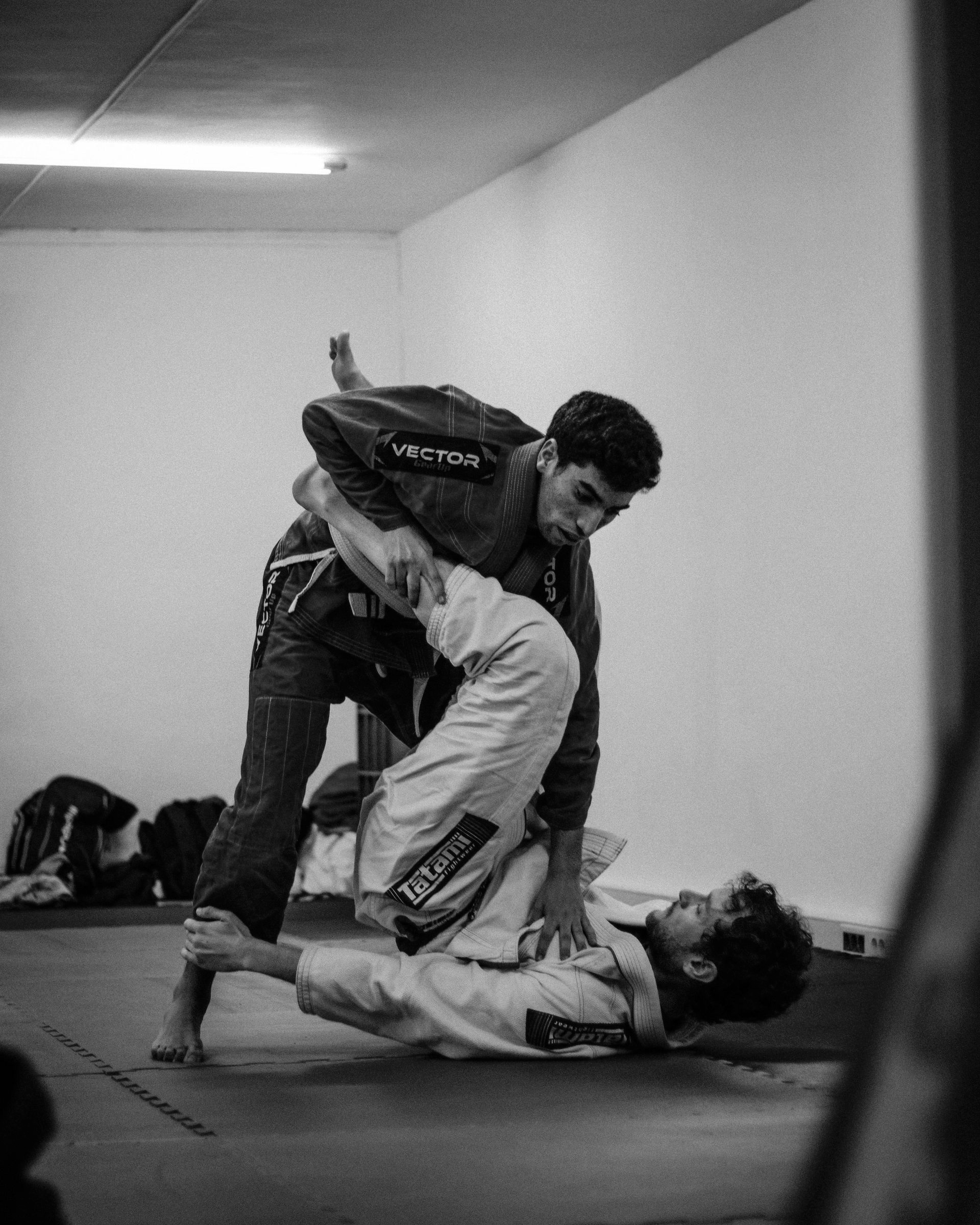 Adult Jiu Jitsu