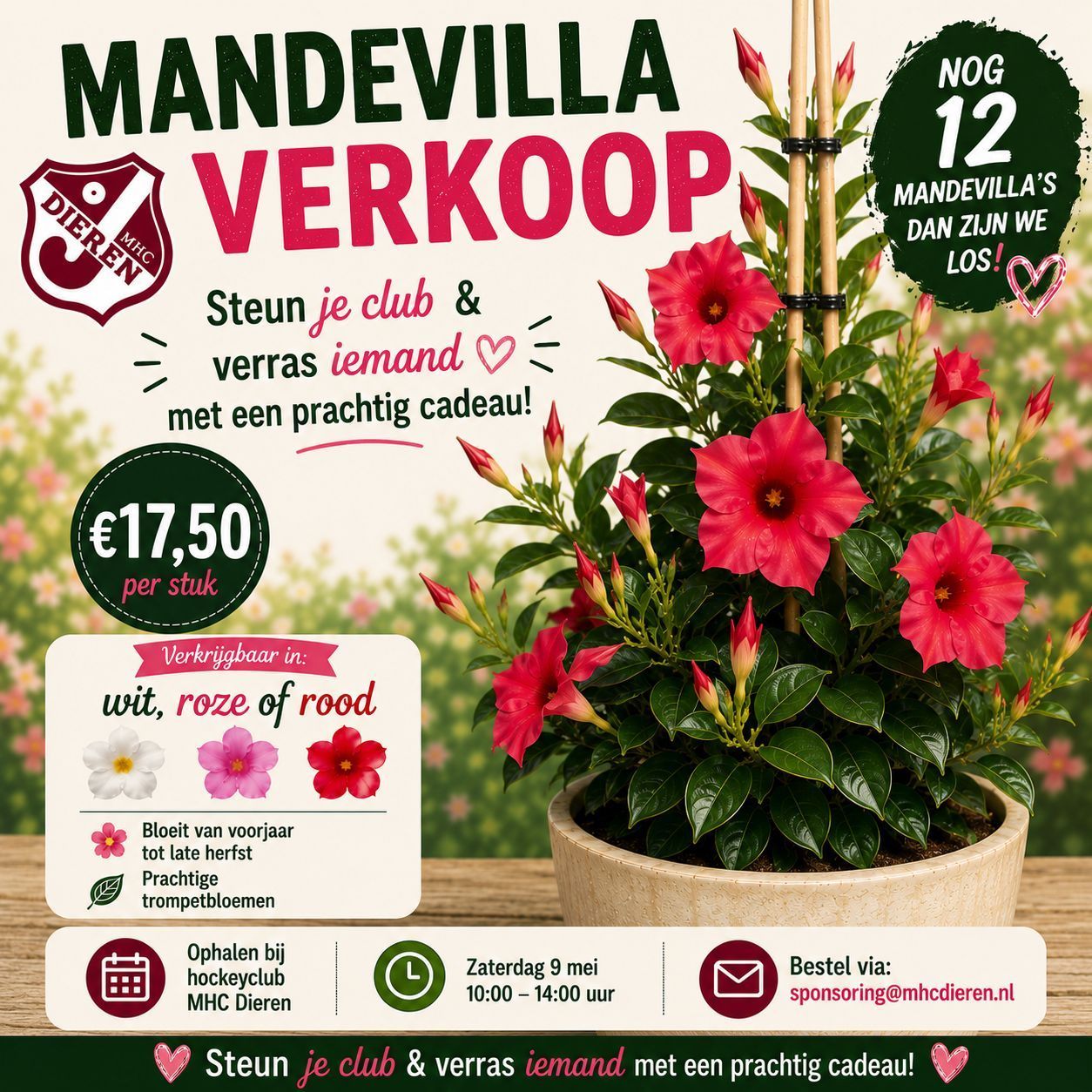 Poster van MHC Dieren voor Moederdag actie: hanging basket verkoop voor €17,50 per stuk, bestellen voor 5 mei via sponsoring@mhcdieren.nl en ophalen op 9 mei bij de club.