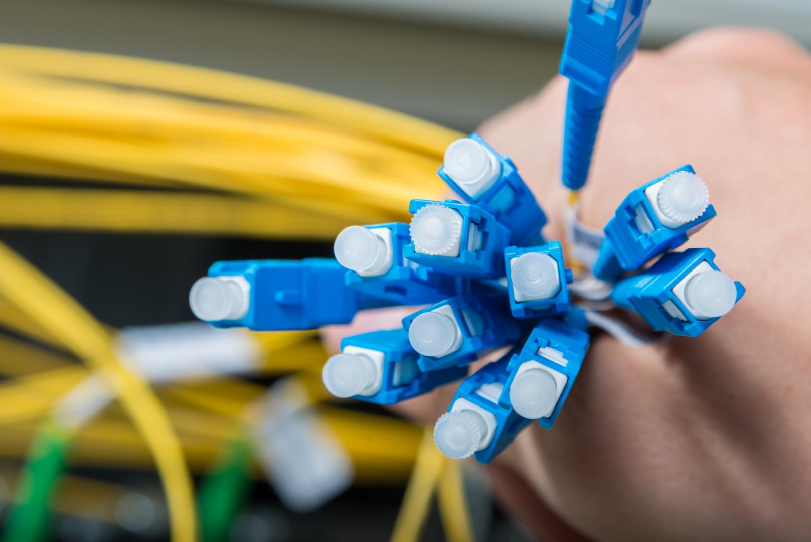 A person is holding a bunch of blue optical fiber connectors.