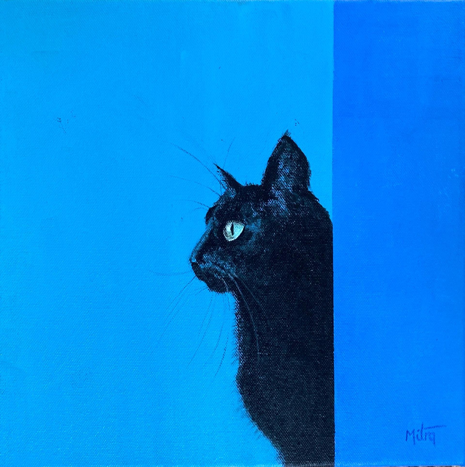 Black cat in profile against a bright blue background with a vertical blue stripe