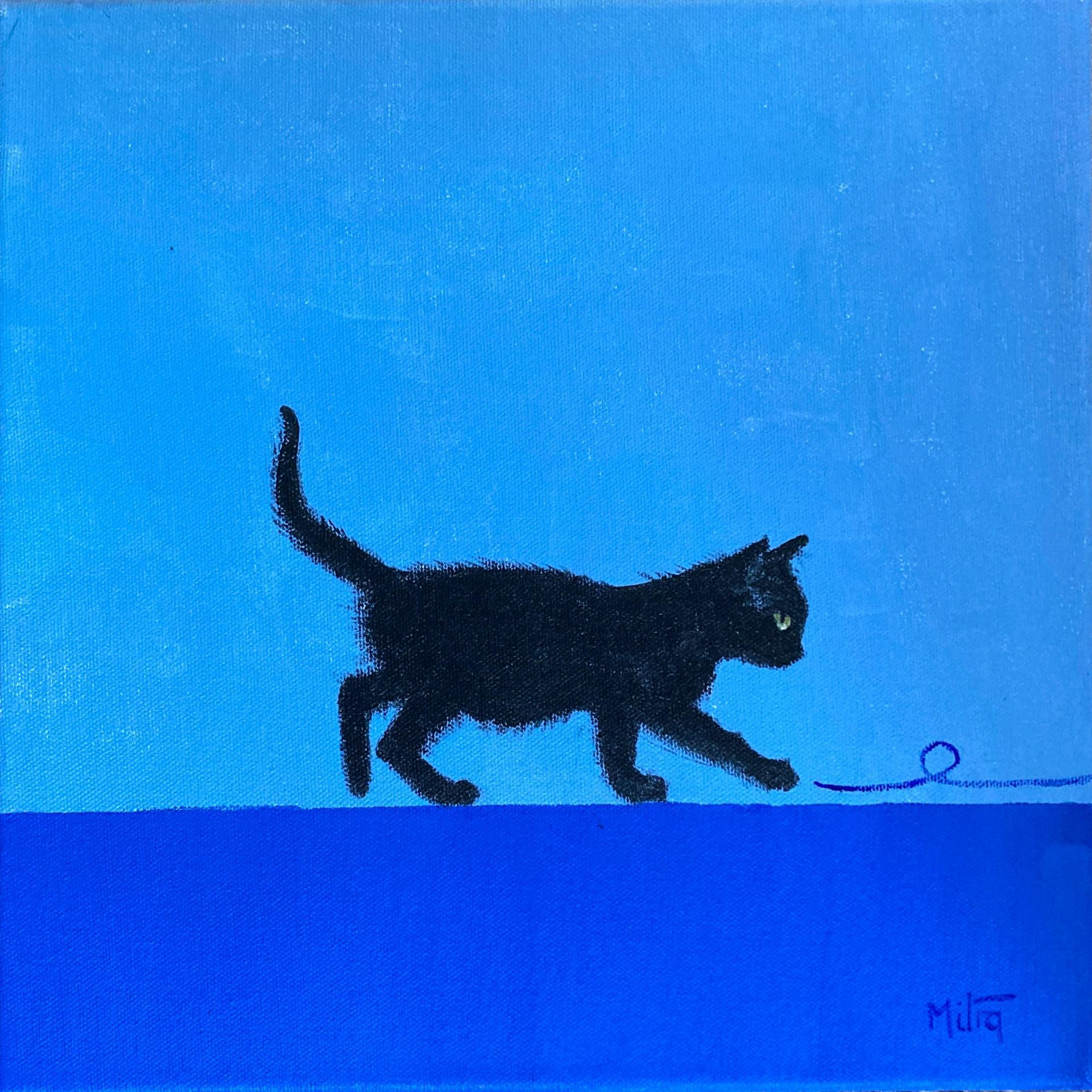Black cat walking on a blue background, tail raised, approaching a small ring on the ground.