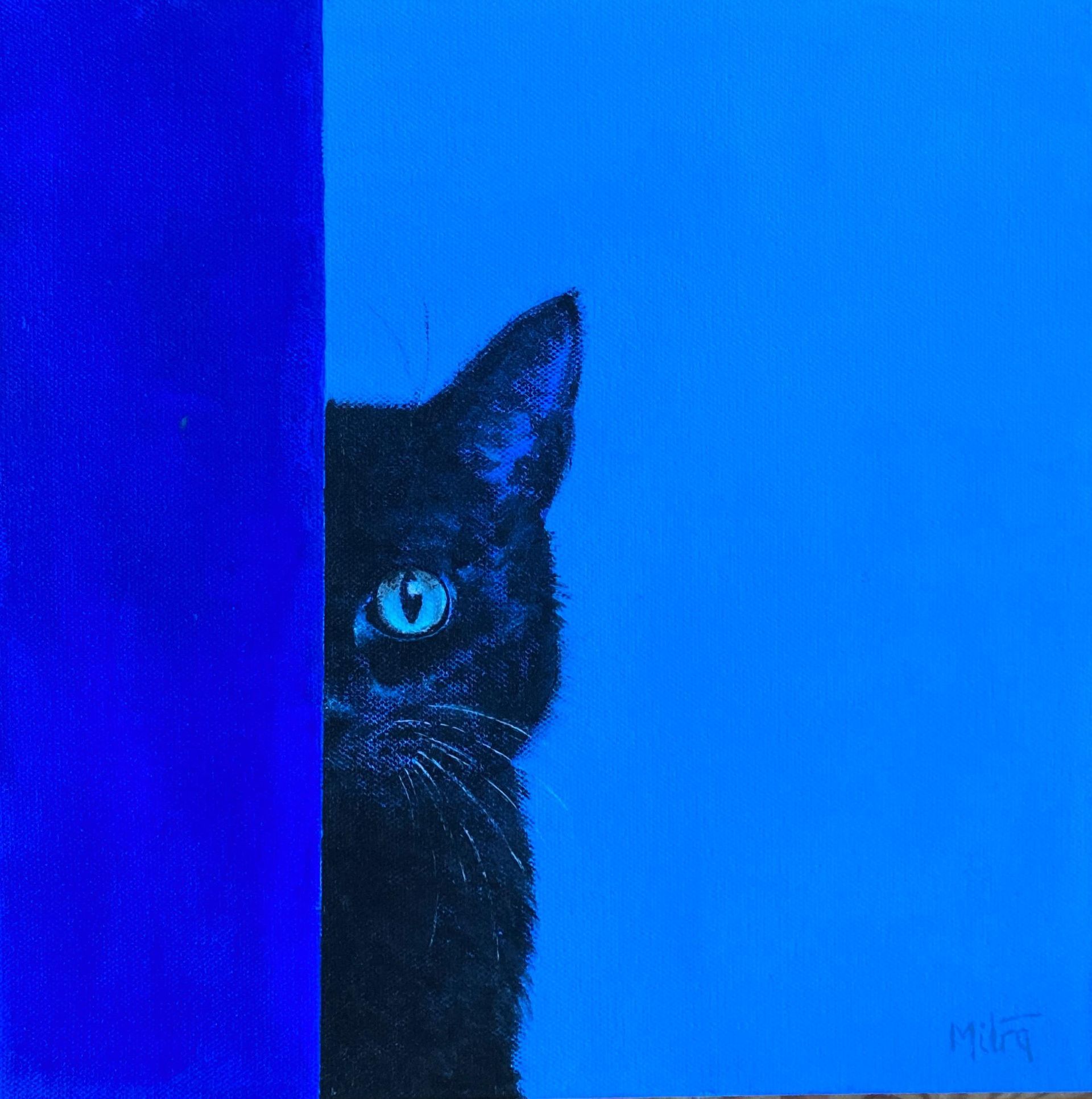 Black cat peeks from behind a blue panel against a bright blue background.
