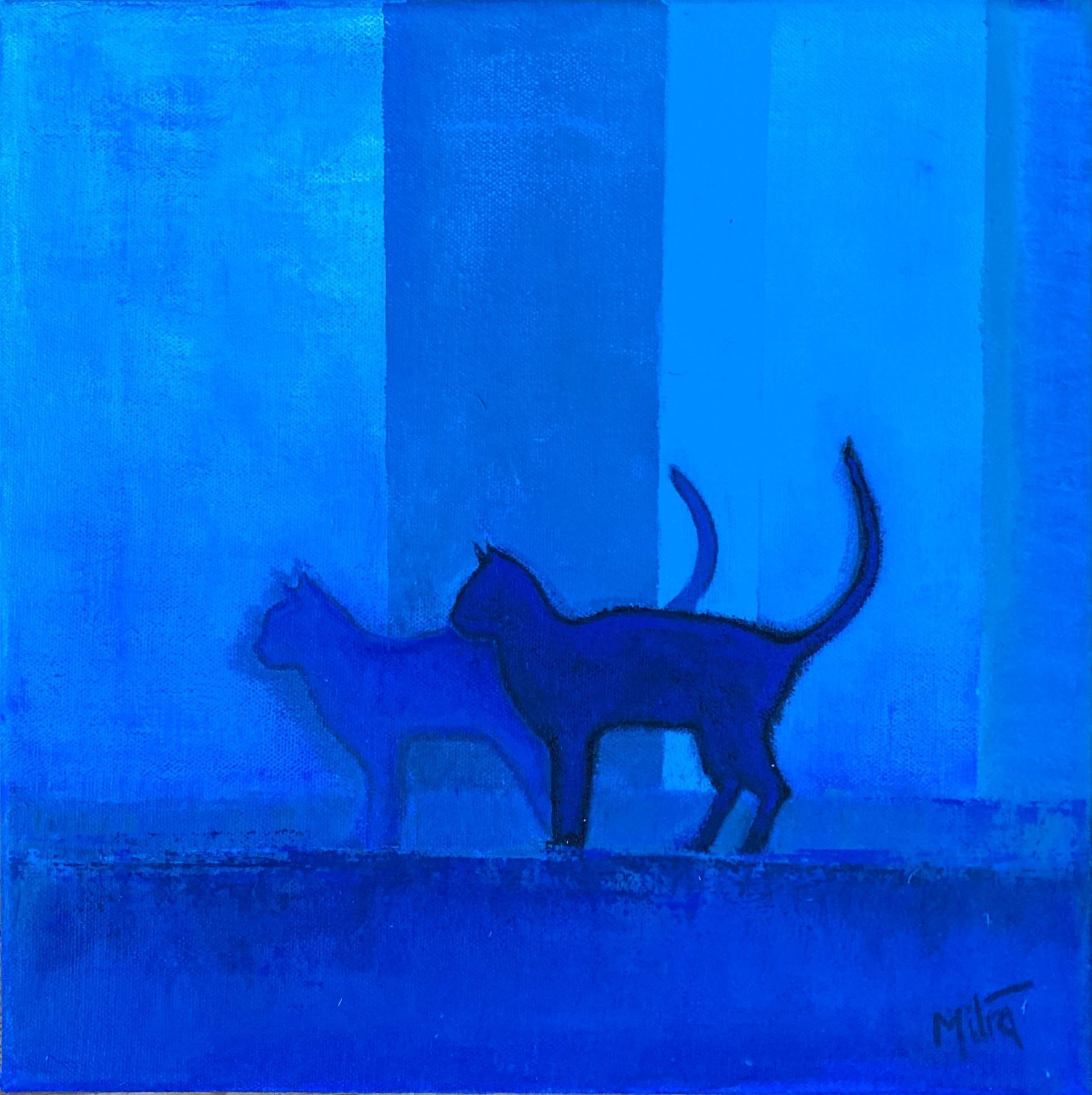 Two cats silhouetted in blue, standing on a ledge against a blue wall.