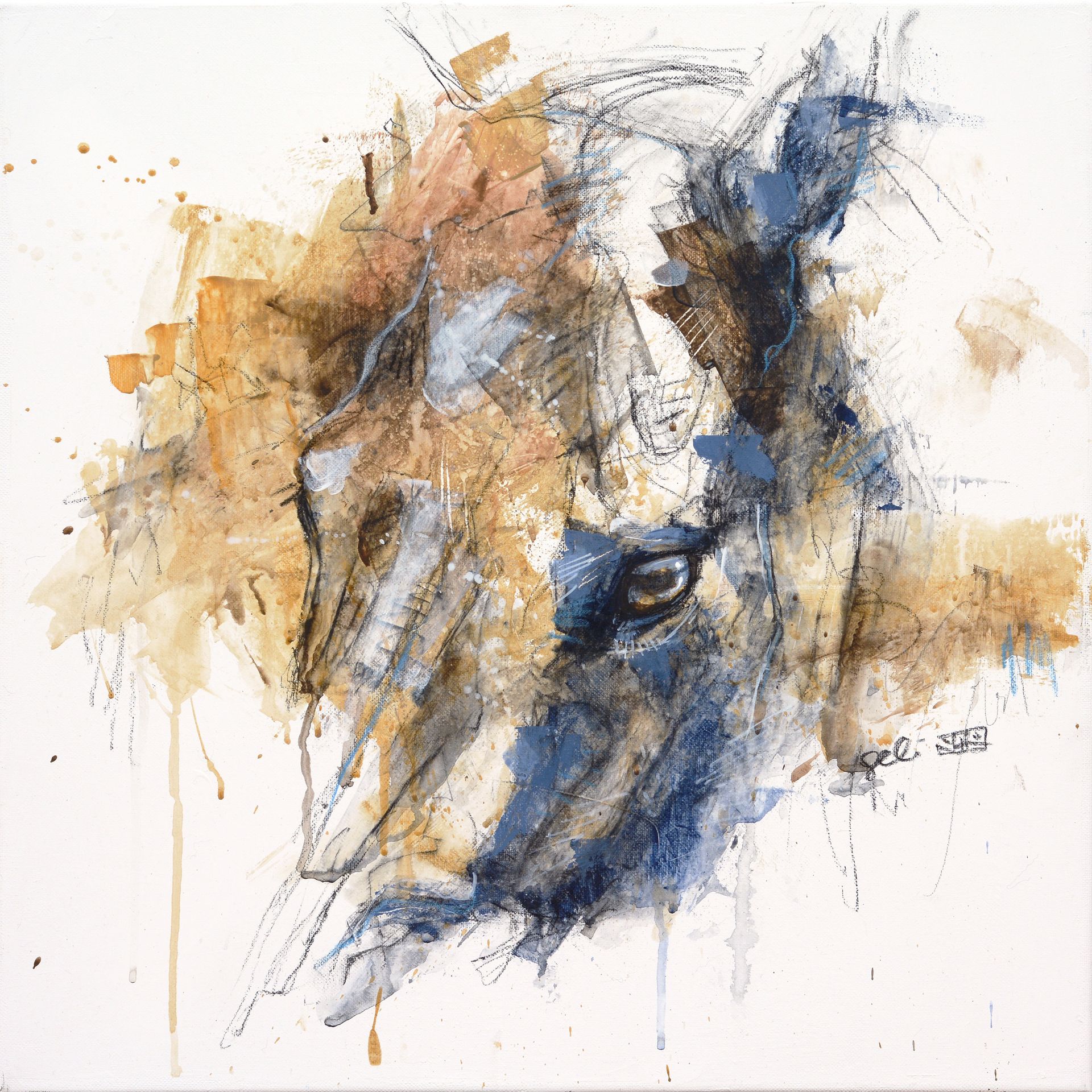 a close up of a painting of a horse 's face on a white background .