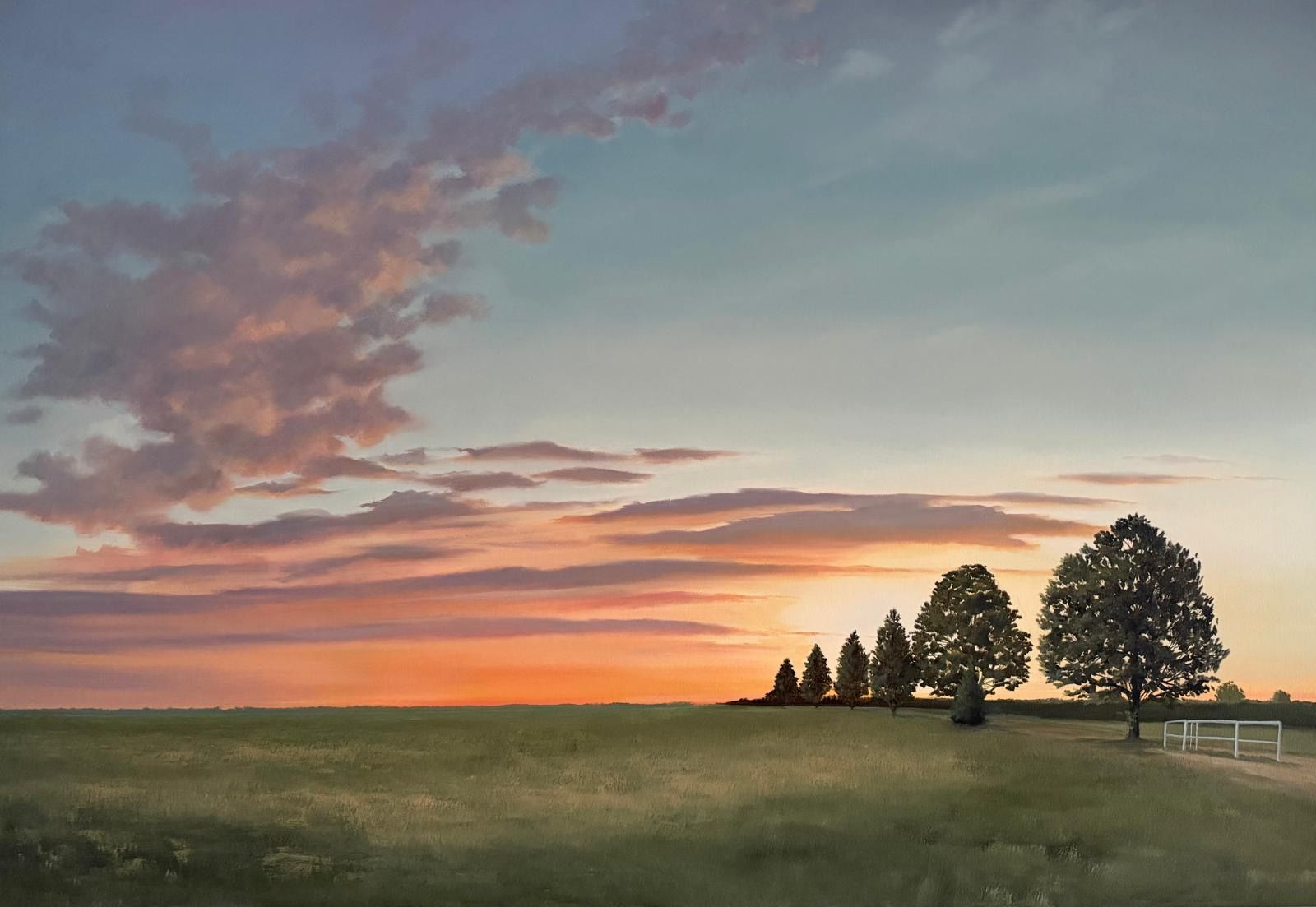 Sunset over a grassy field with pink clouds and silhouetted trees near the horizon