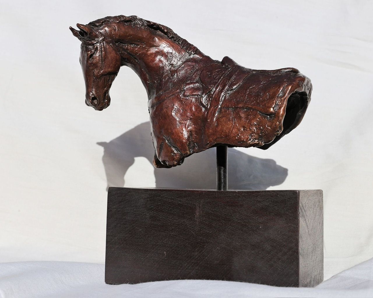 Bronze sculpture of a horse's head and torso, dark brown with a textured surface, mounted on a dark rectangular base.