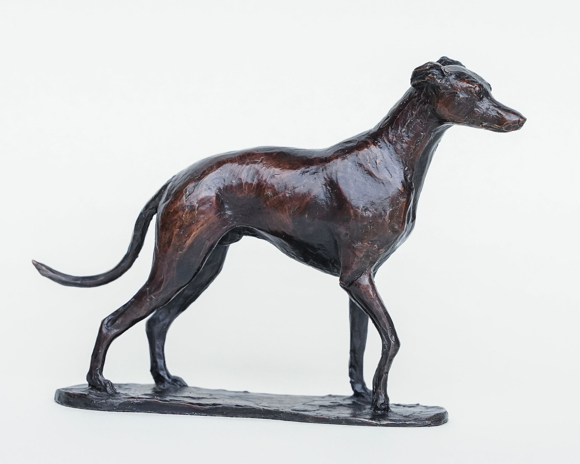 A bronze statue of a greyhound standing on a white surface.