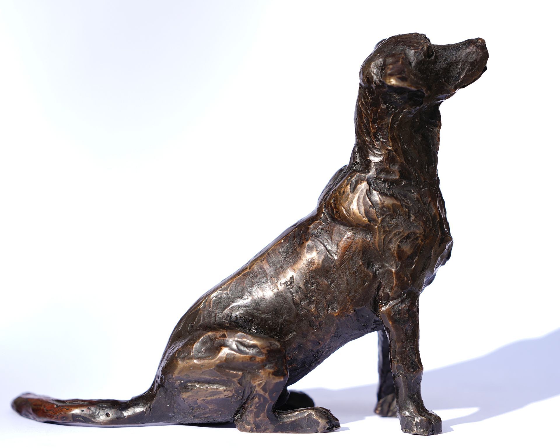 Bronze sculpture of a sitting Labrador dog looking upwards.