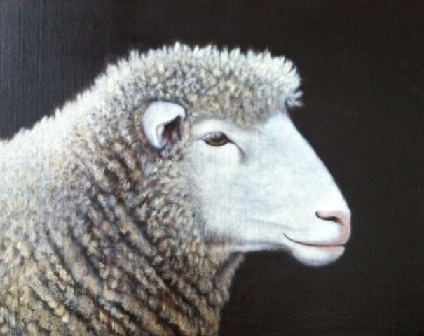 a close up of a sheep 's head on a black background .
