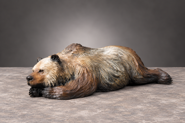 Brown bear lying on its side against a plain gray studio backdrop