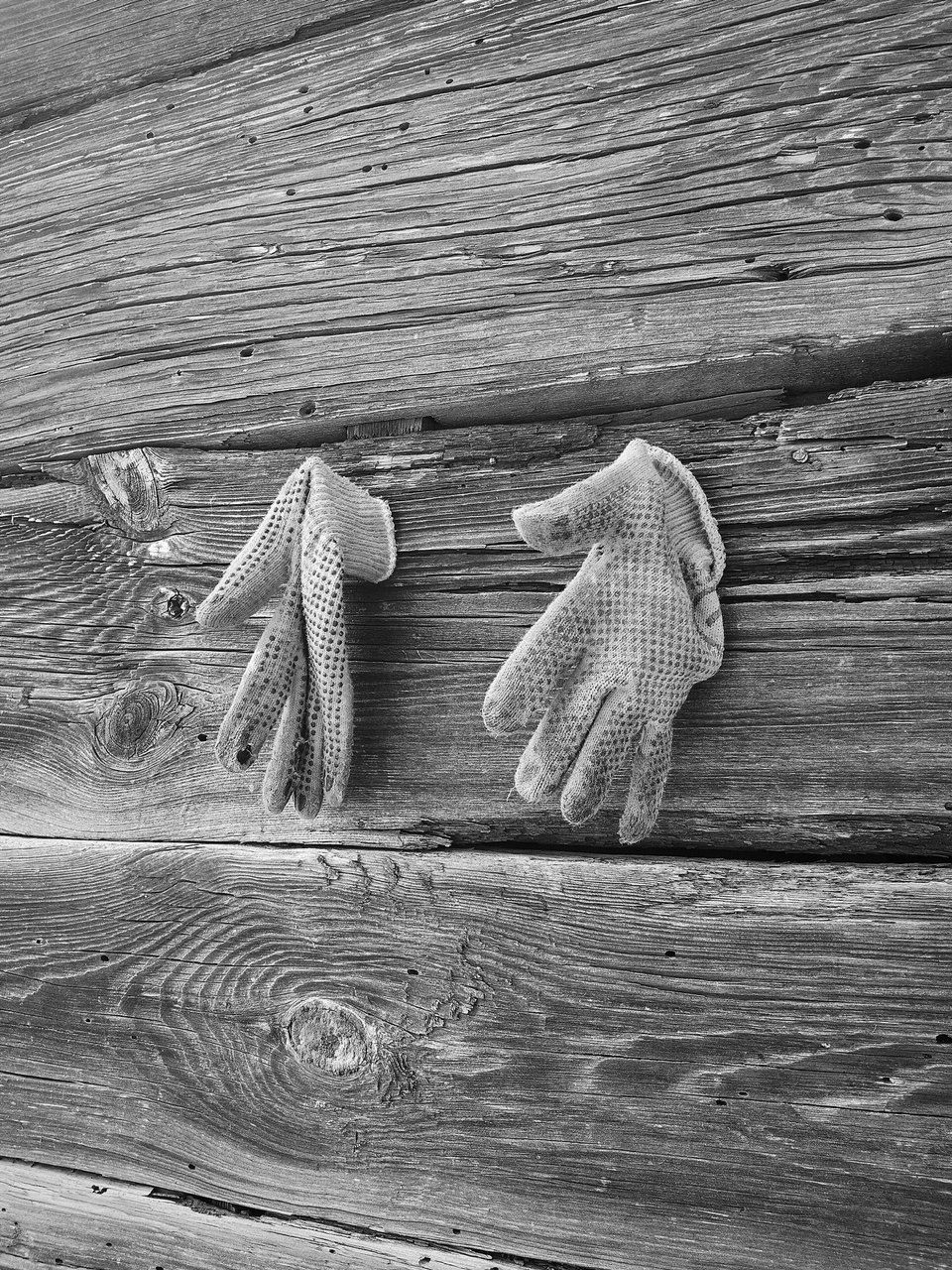 Two worn, knit gloves hanging on a weathered, wooden wall.