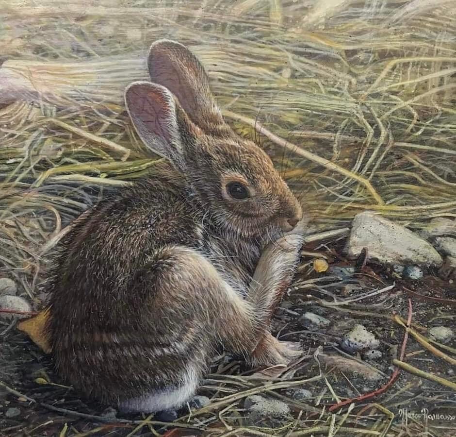 a painting of a small rabbit sitting on the ground