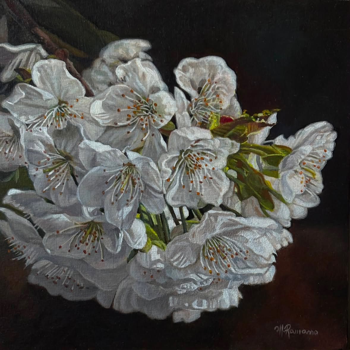 Cluster of white cherry blossoms with green leaves against a dark background