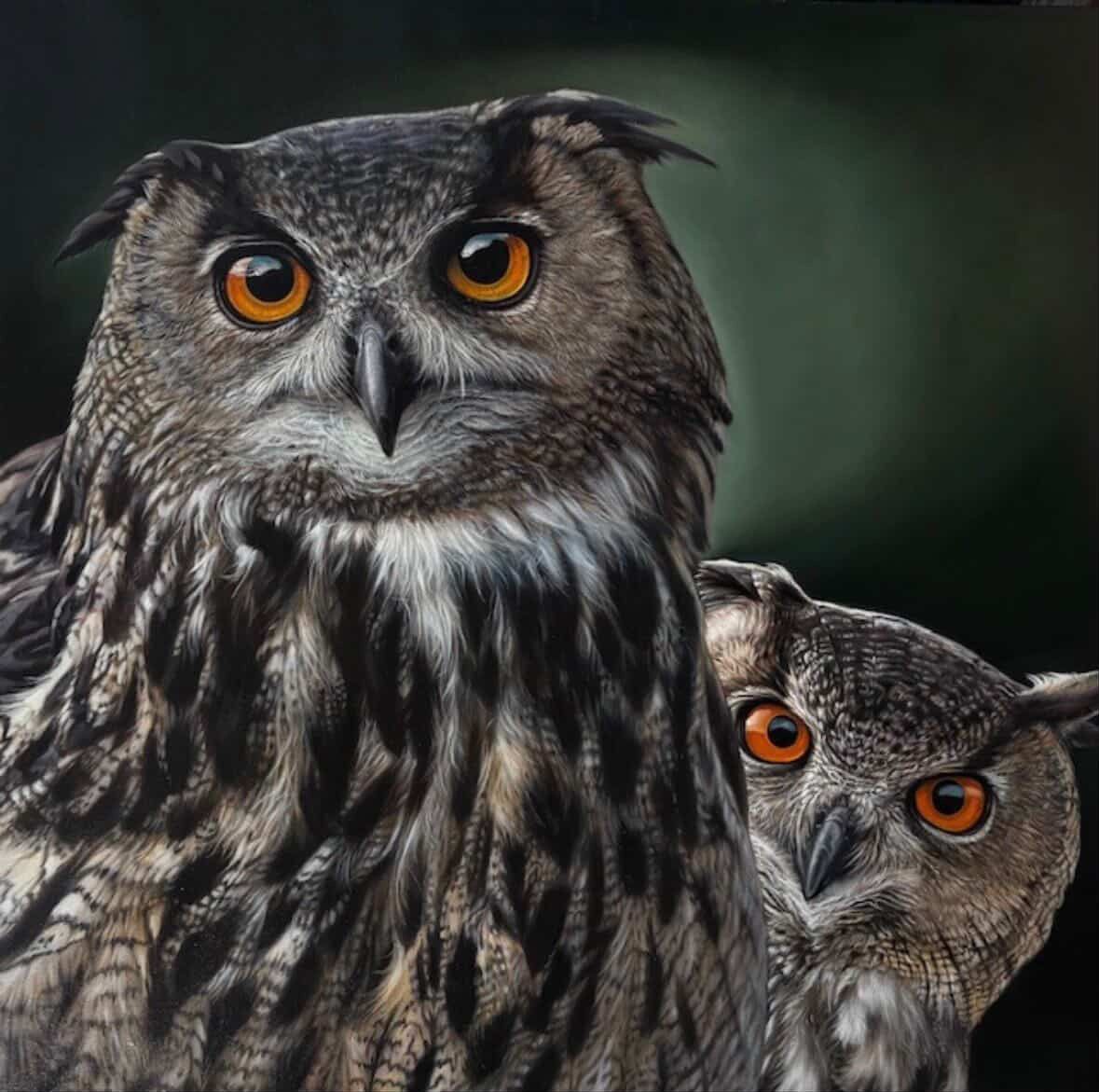 Two owls with orange eyes, one large in front and one partially hidden behind, against a dark background
