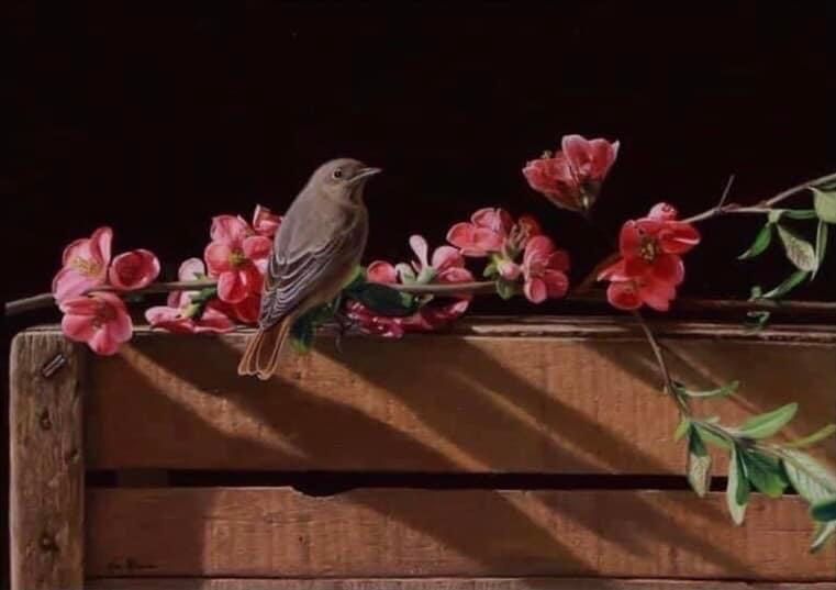 a bird is perched on a wooden fence surrounded by pink flowers .