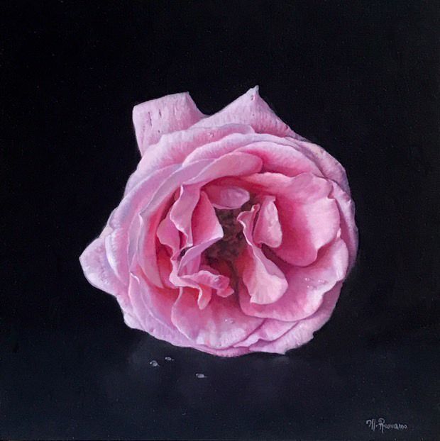 A painting of a pink rose on a black background