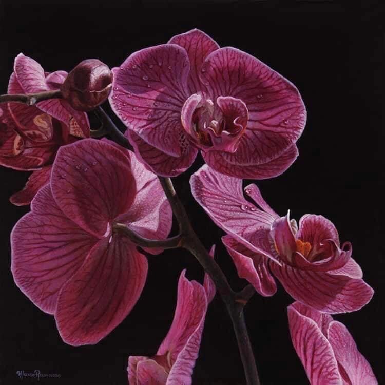 a painting of purple orchids with water drops on them