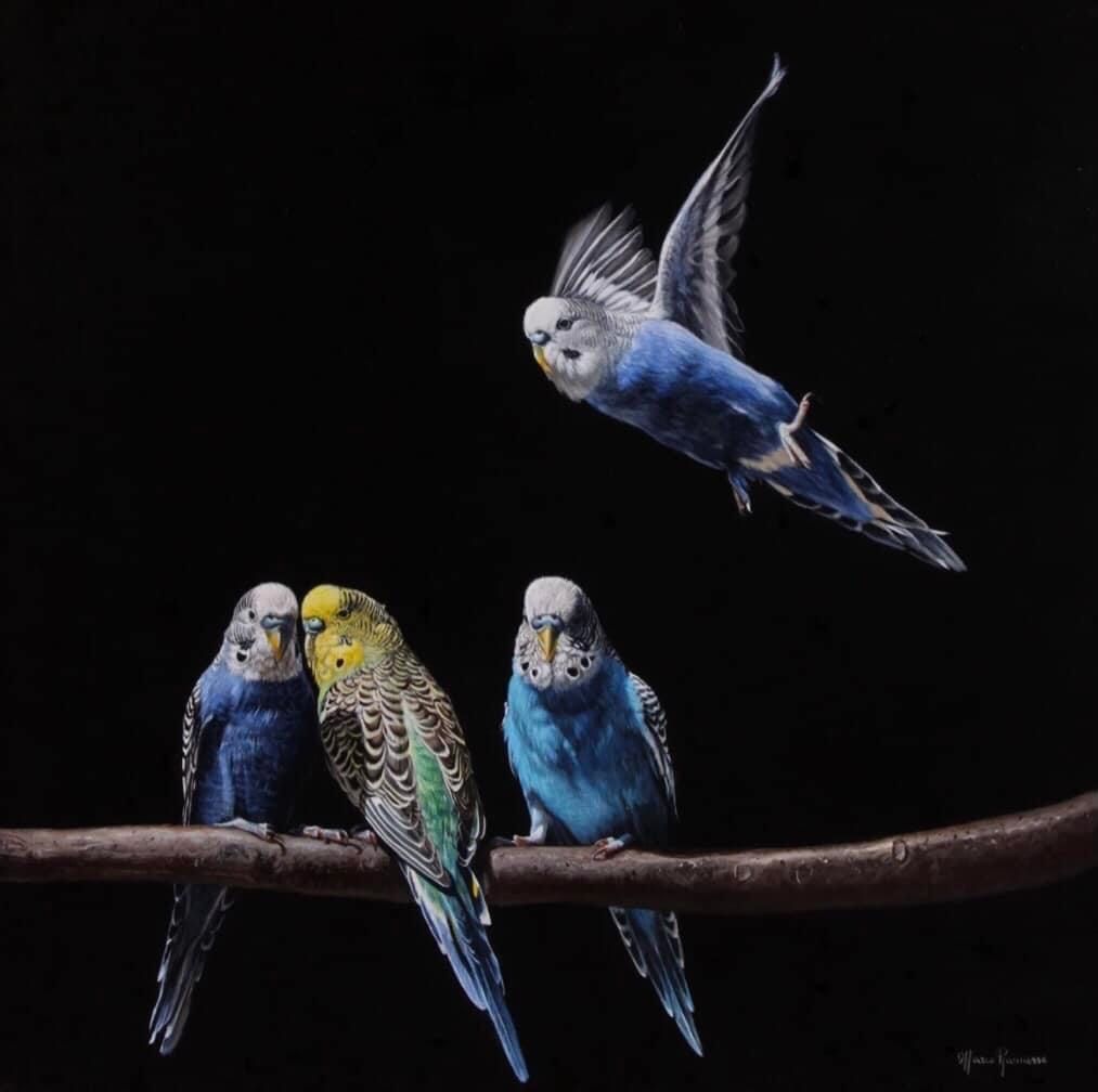 a painting of three parakeets sitting on a branch and one flying above