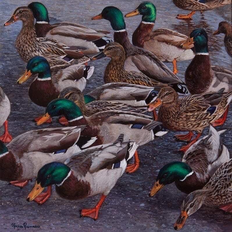 a painting of a flock of mallard ducks