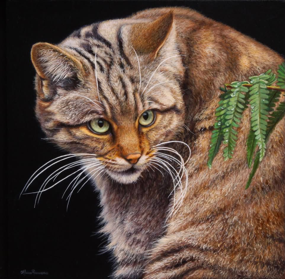 Brown tabby cat with green eyes against a black background, partly framed by fern leaves