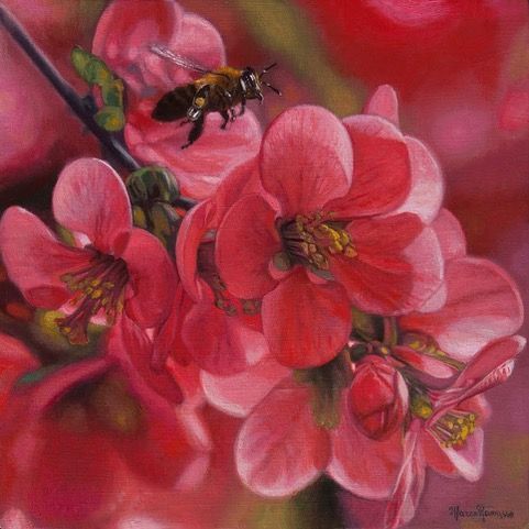 A bee is sitting on a branch of pink flowers.