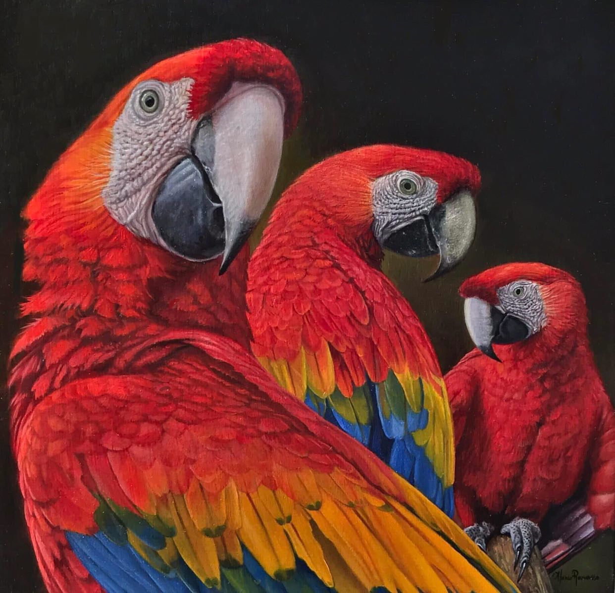 A painting of three colorful parrots on a black background