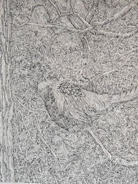 A black and white drawing of a bird sitting in a tree.