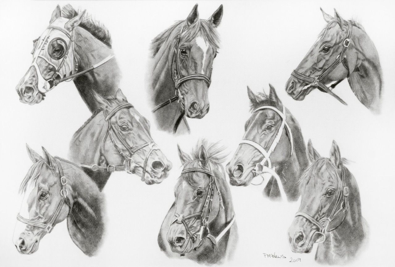 a black and white drawing of eight horse portraits