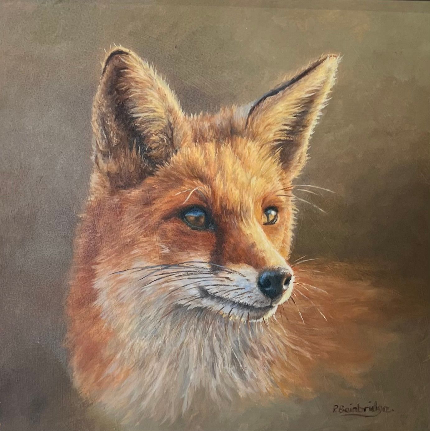 Portrait of a red fox with attentive expression and orange fur against a brown background.