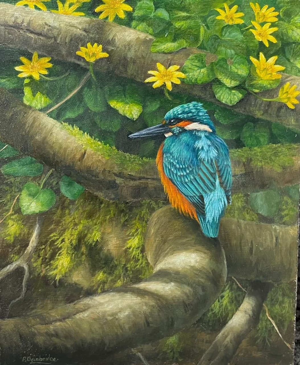 Blue-and-orange kingfisher perched on a branch amid yellow flowers and green foliage