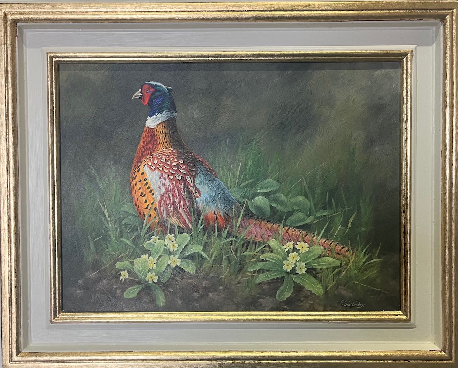 Pheasant in lush greenery; it has colorful plumage and a gold-toned frame.