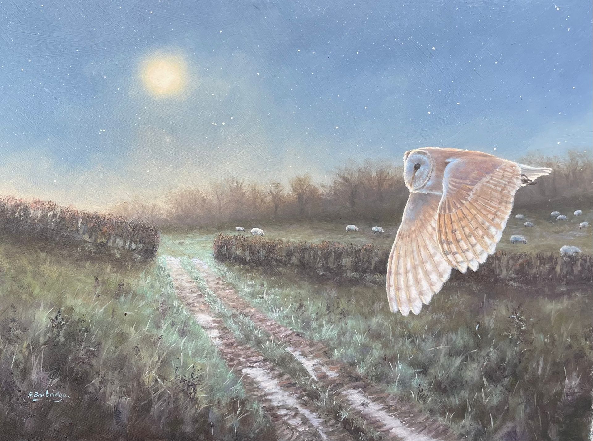 Owl flying over a grassy path at dusk beneath a pale moonlit sky