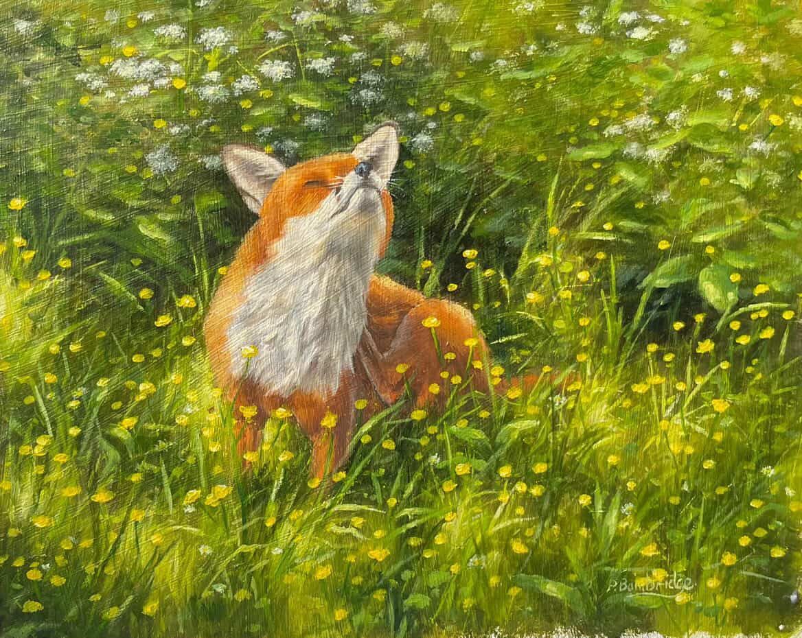 A red fox standing in a green meadow of yellow wildflowers, looking upward.