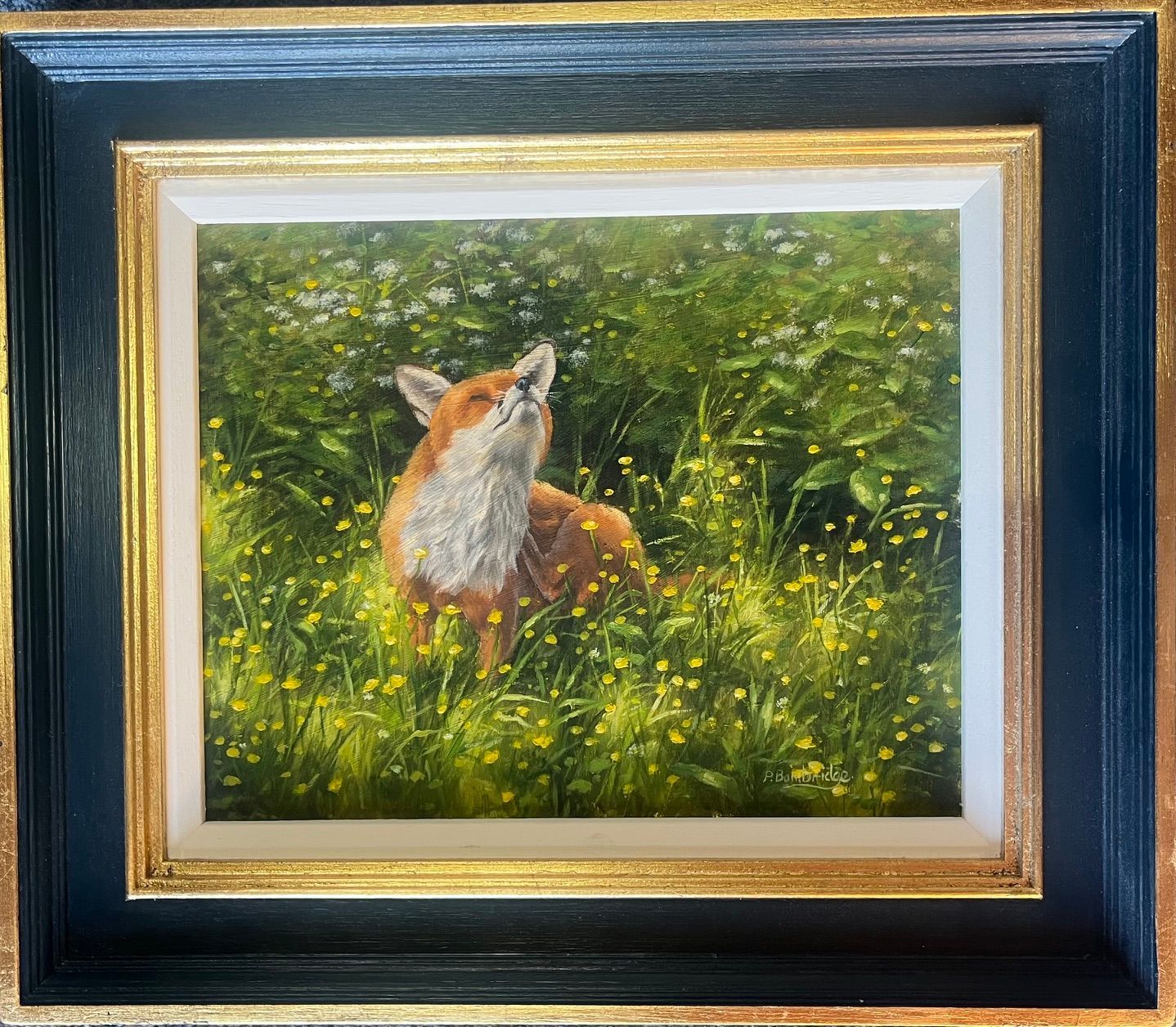 A red fox standing in a green meadow of yellow wildflowers, looking upward.