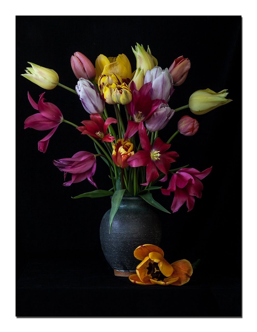 Colorful tulips in a dark vase against a black background. One fallen tulip rests at the base.