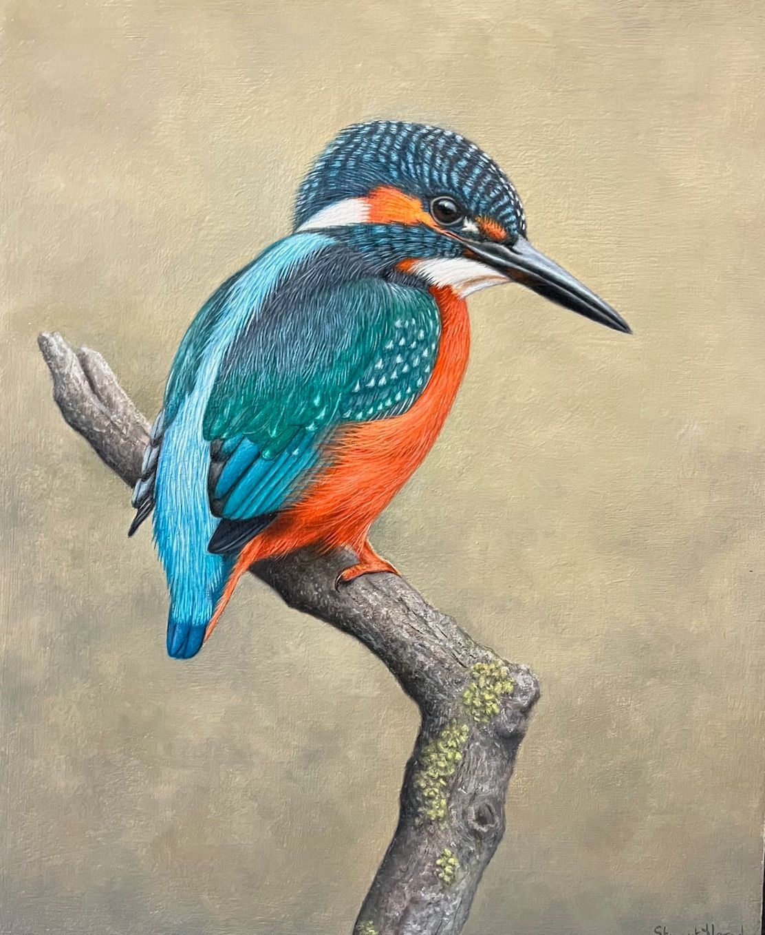 A colorful kingfisher bird perches on a branch, looking to the side. It has blue, orange, and teal feathers.