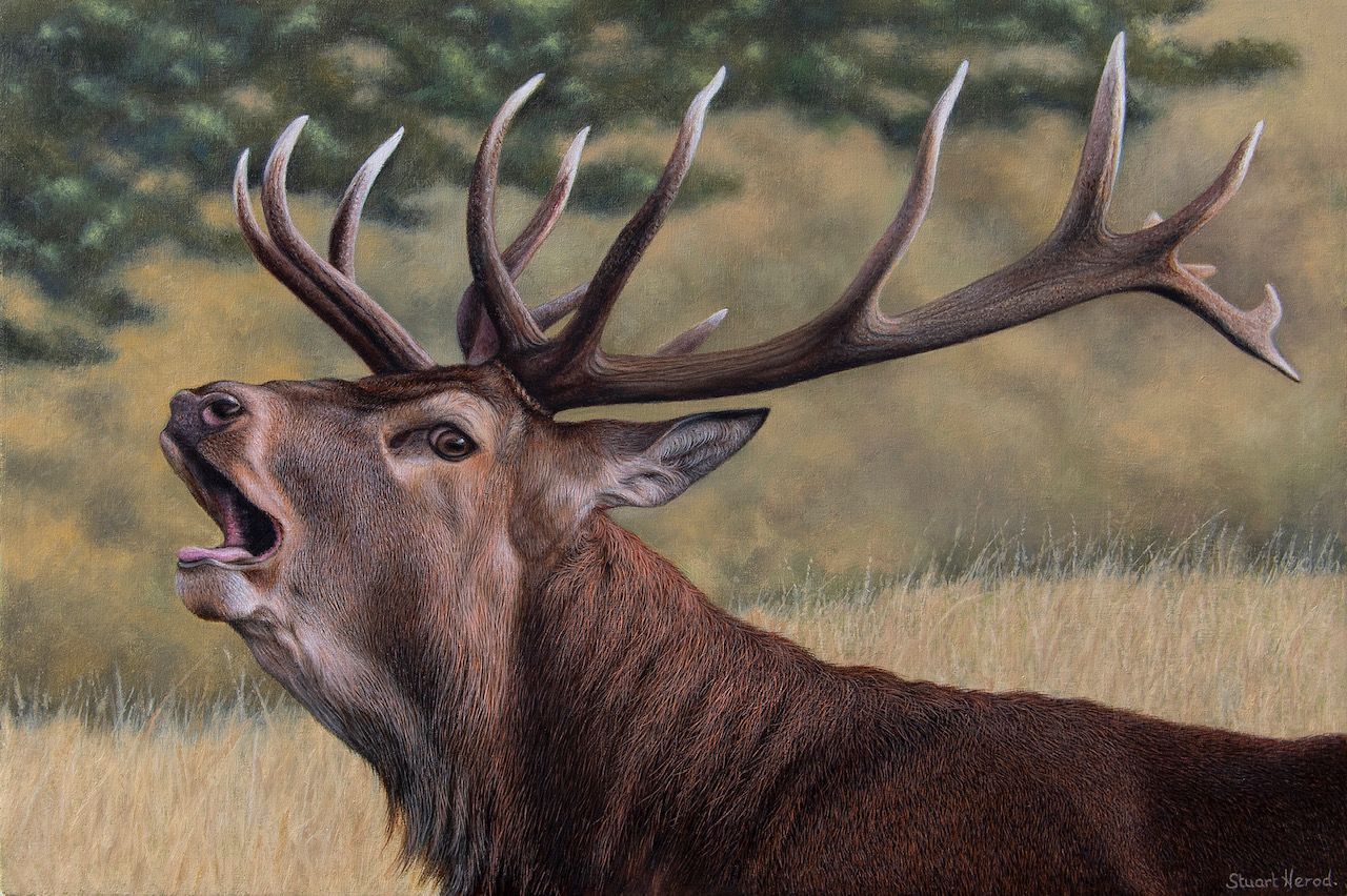a painting of a deer with its mouth open