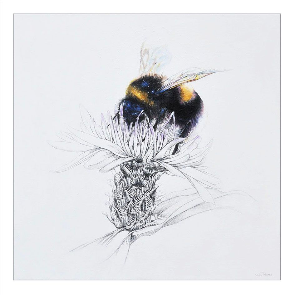 Bee on a flower, rendered in soft black, yellow, and white on a pale background