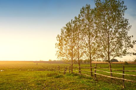 Properties for sale Brad Lindsey