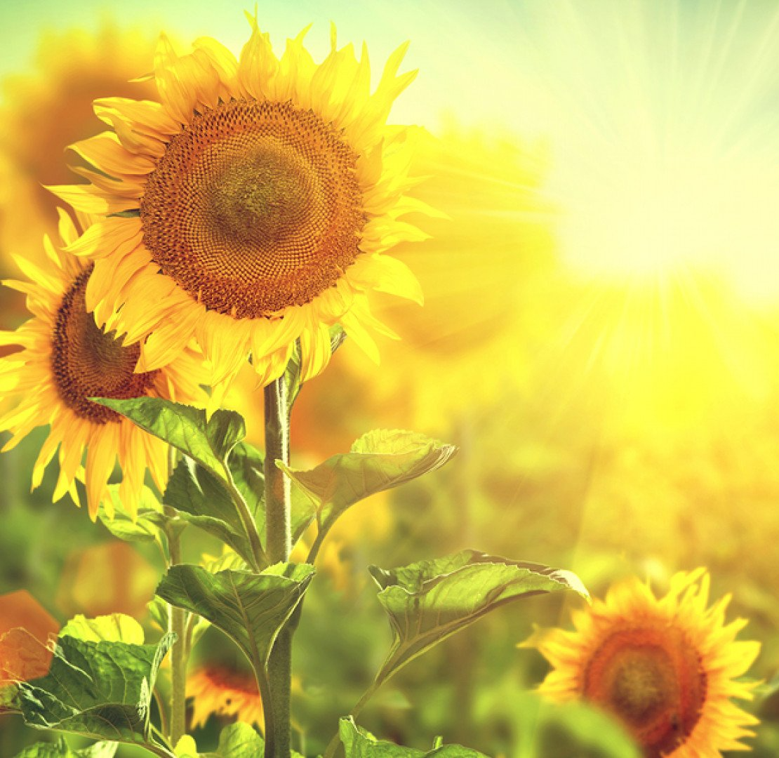 What to Expect Catherine McConnell, LPC