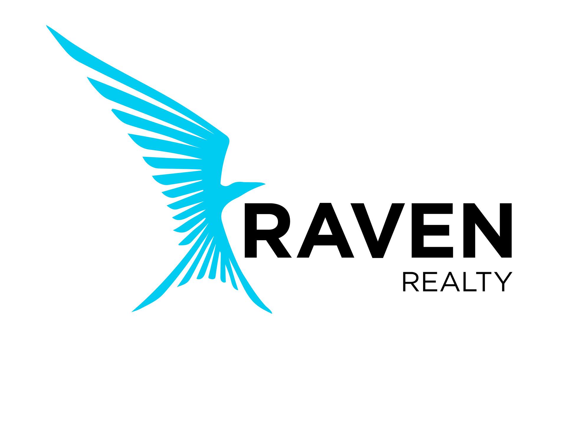 Raven Realty, LLC