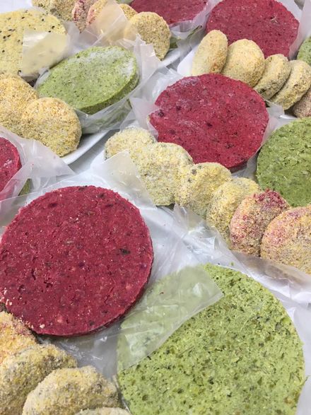 congelados