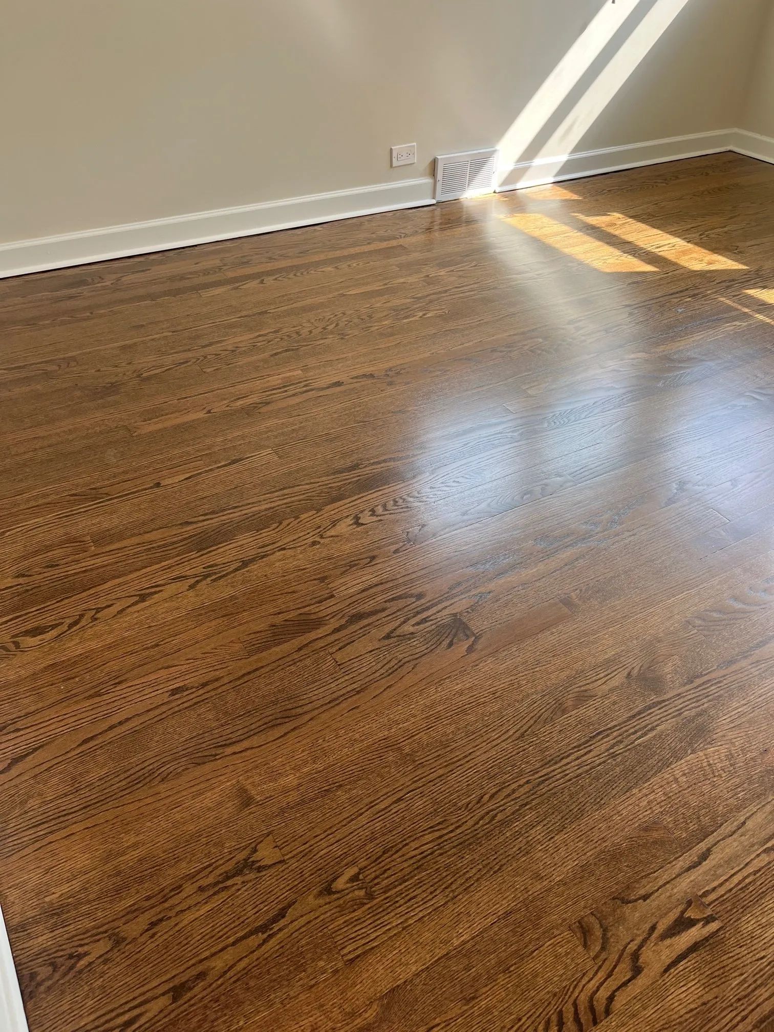Refinished hardwood floor with shiny finish, brown color. Sunlight casts across.  Baseboard visible.