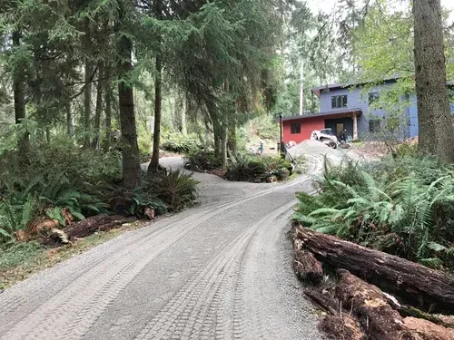 Dirt driveway winding through a forest toward a red and gray house, with logs along the right side.
