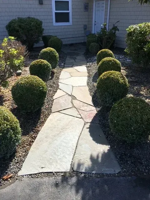 Flagstone walkway leading to a front door between rows of clipped boxwood globes at an Oak Harbor home