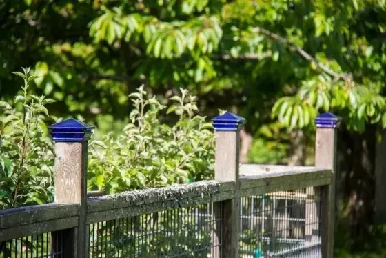 Garden restoration with new fencing on a Whidbey Island property