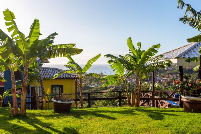Bananeiras emolduram a vista de edifícios coloridos e do oceano ao longe.